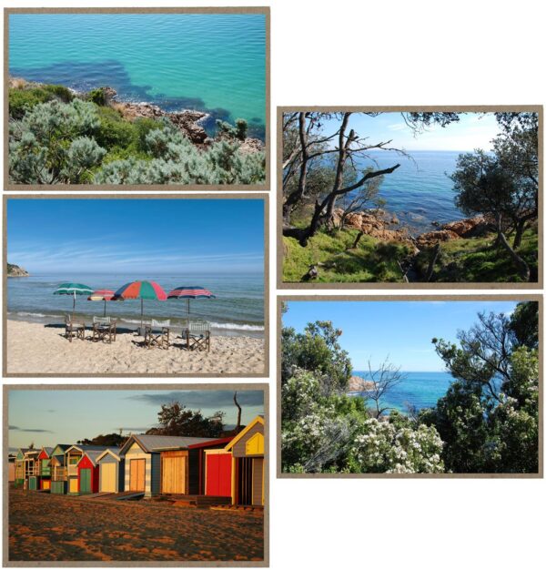 The Mt Martha Collection